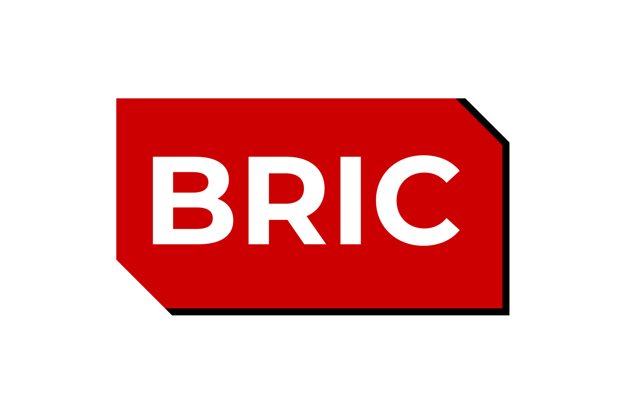BRIC Logo-Transparent_v1